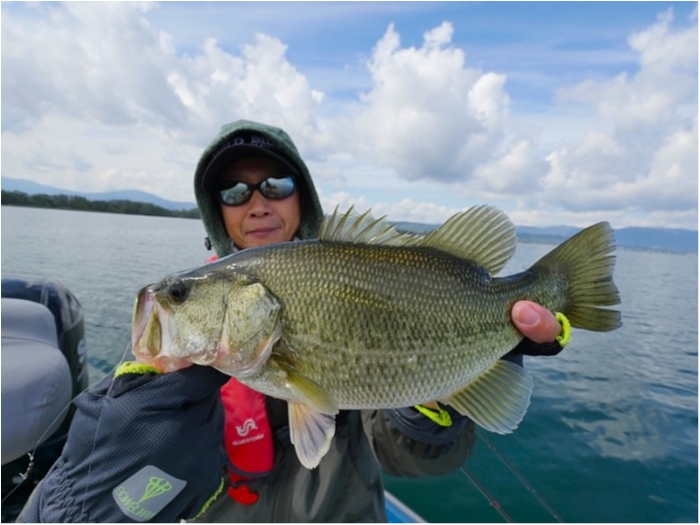 truth  ブログ写真 2018/10/16