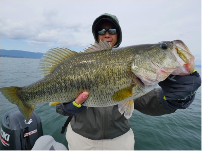 truth  ブログ写真 2018/10/16