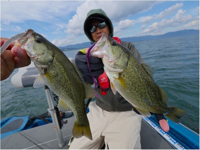 truth  ブログ写真 2018/10/16