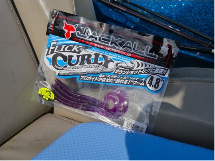 truth  ブログ写真 2018/10/16