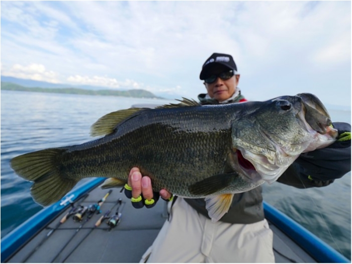 truth  ブログ写真 2018/10/16