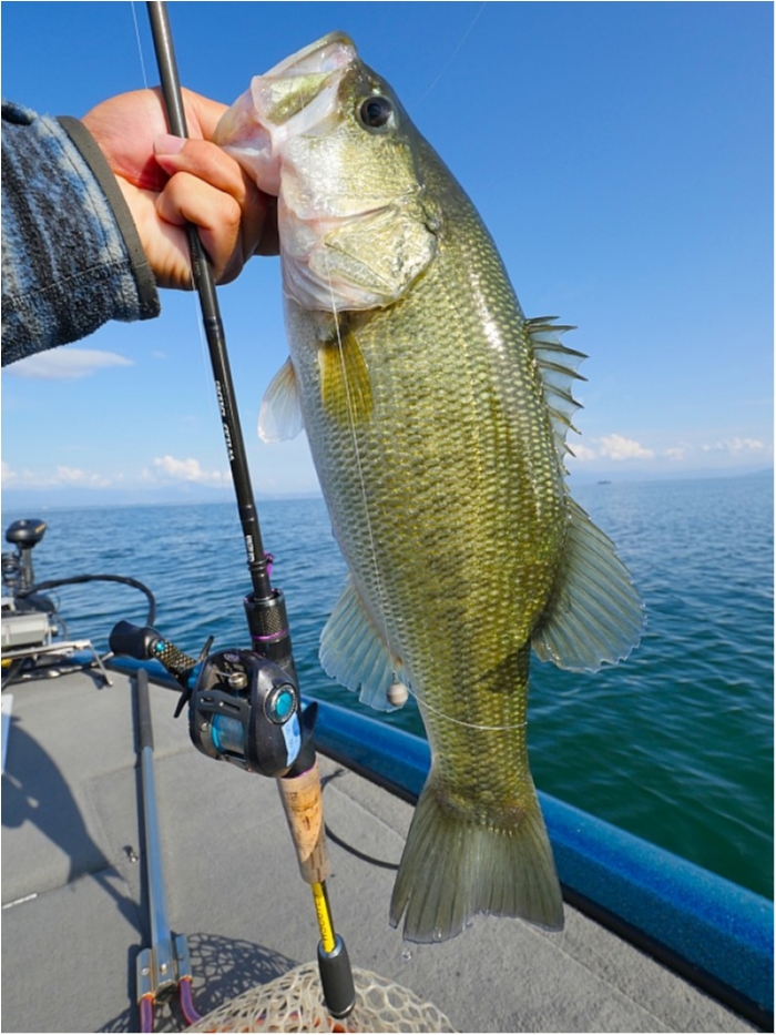 truth ブログ写真 2018/10/18