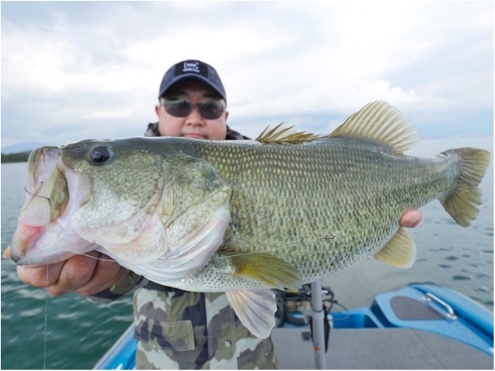 truth ブログ写真 2018/10/19