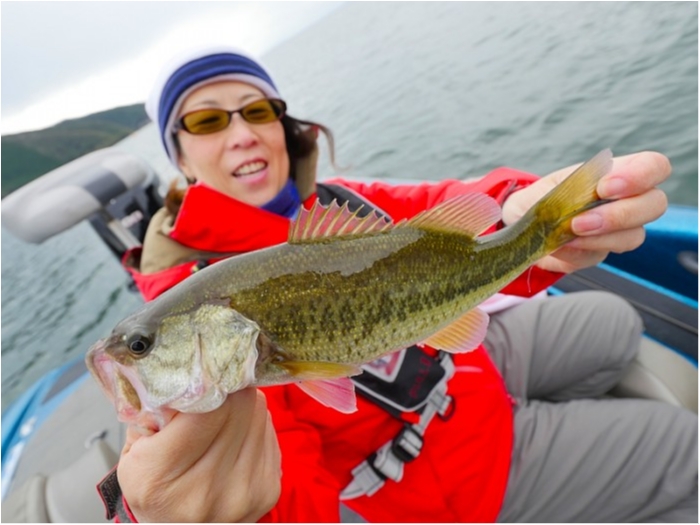 truth  ブログ写真 2018/10/21