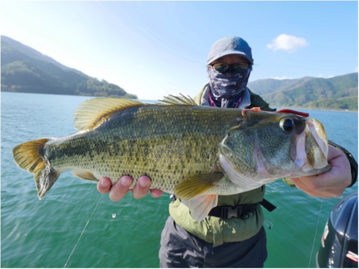 truth ブログ写真 2018/10/25