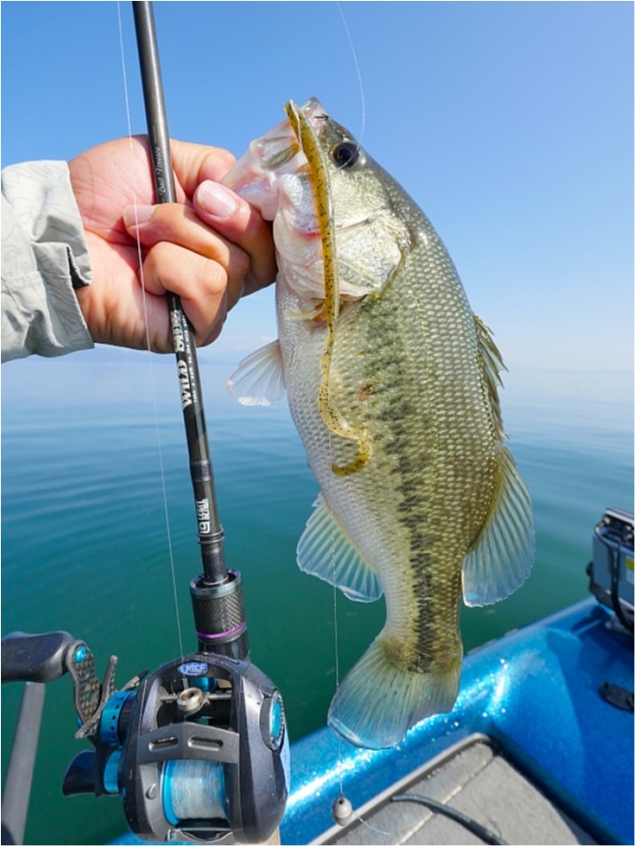 truth ブログ写真 2018/10/26