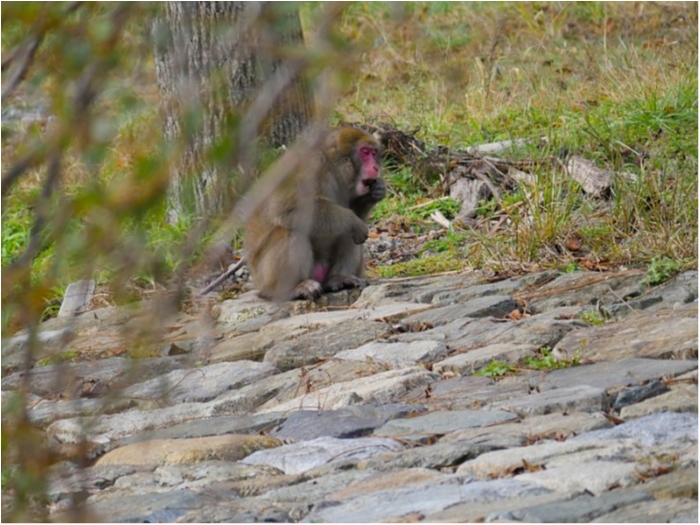 truth  ブログ写真 2018/11/02