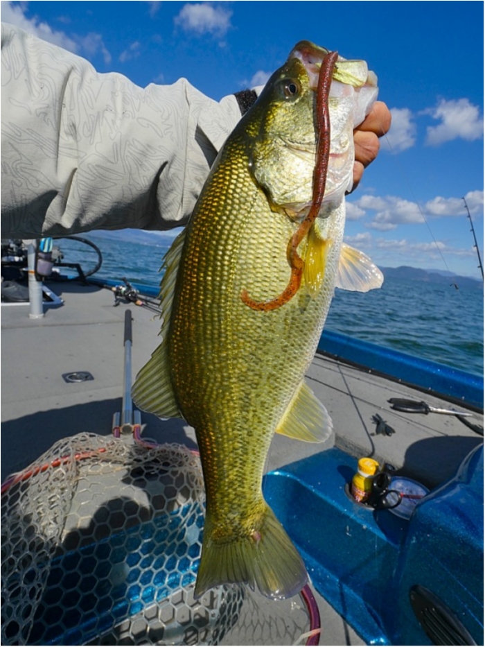 truth  ブログ写真 2018/11/02