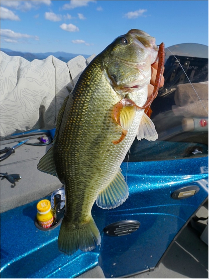 truth  ブログ写真 2018/11/02