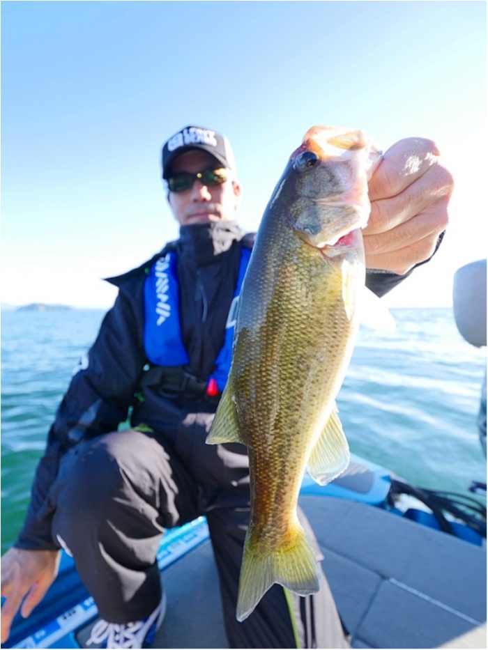 truth  ブログ写真 2018/11/02