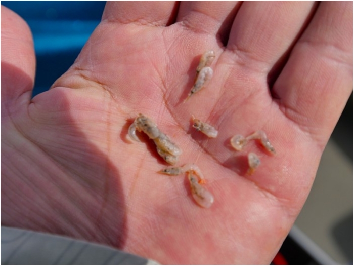 truth  ブログ写真 2018/11/02