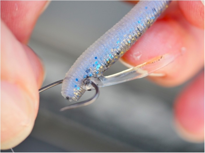 truth  ブログ写真 2018/11/02