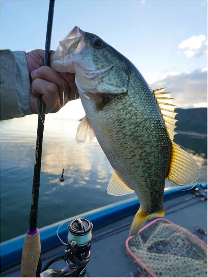 truth  ブログ写真 2018/11/02