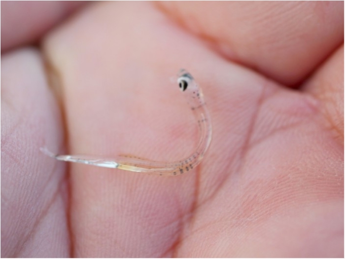 truth  ブログ写真 2018/11/02