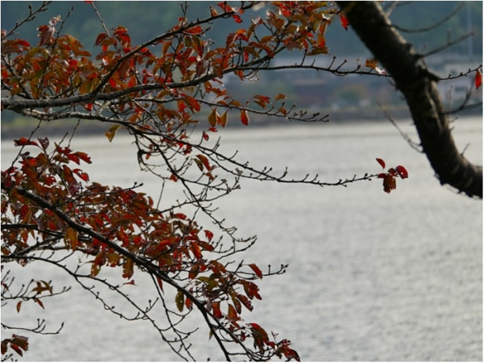 truth  ブログ写真 2018/11/02