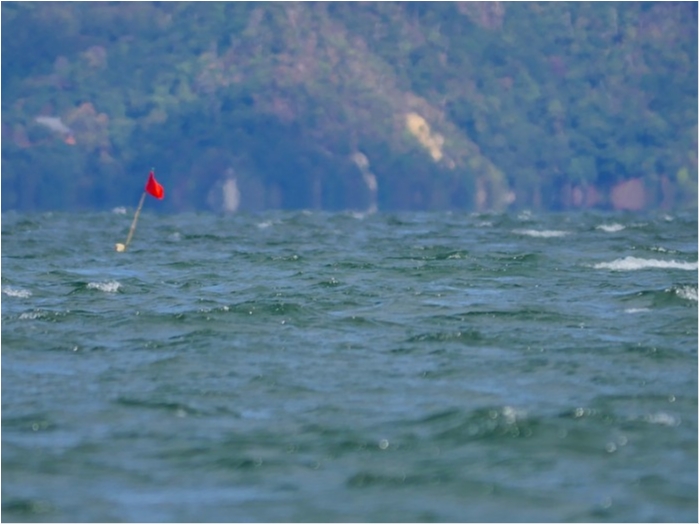 truth  ブログ写真 2018/11/02