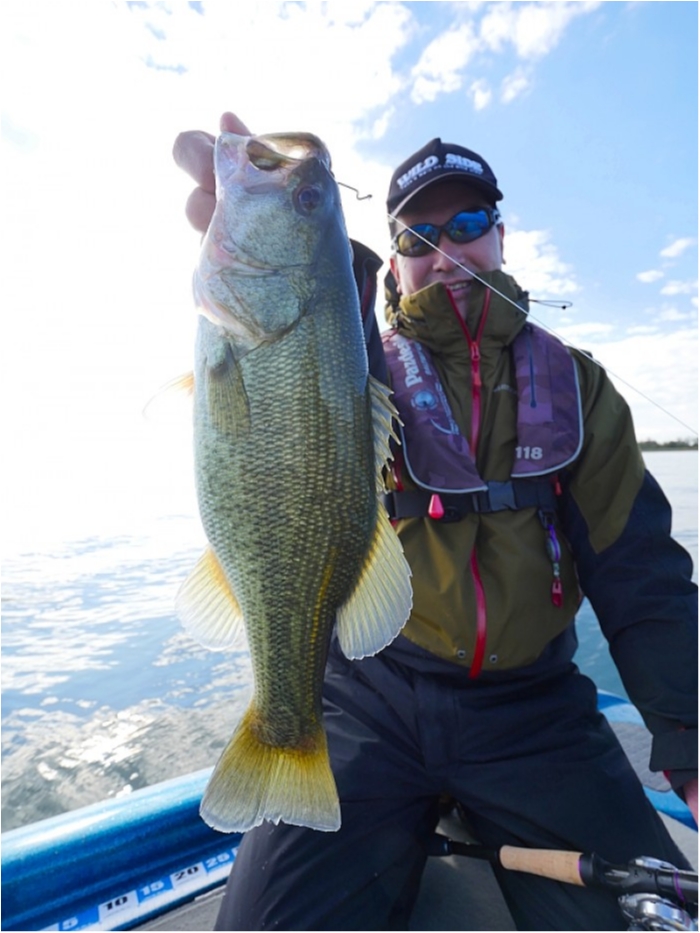 truth  ブログ写真 2018/11/03