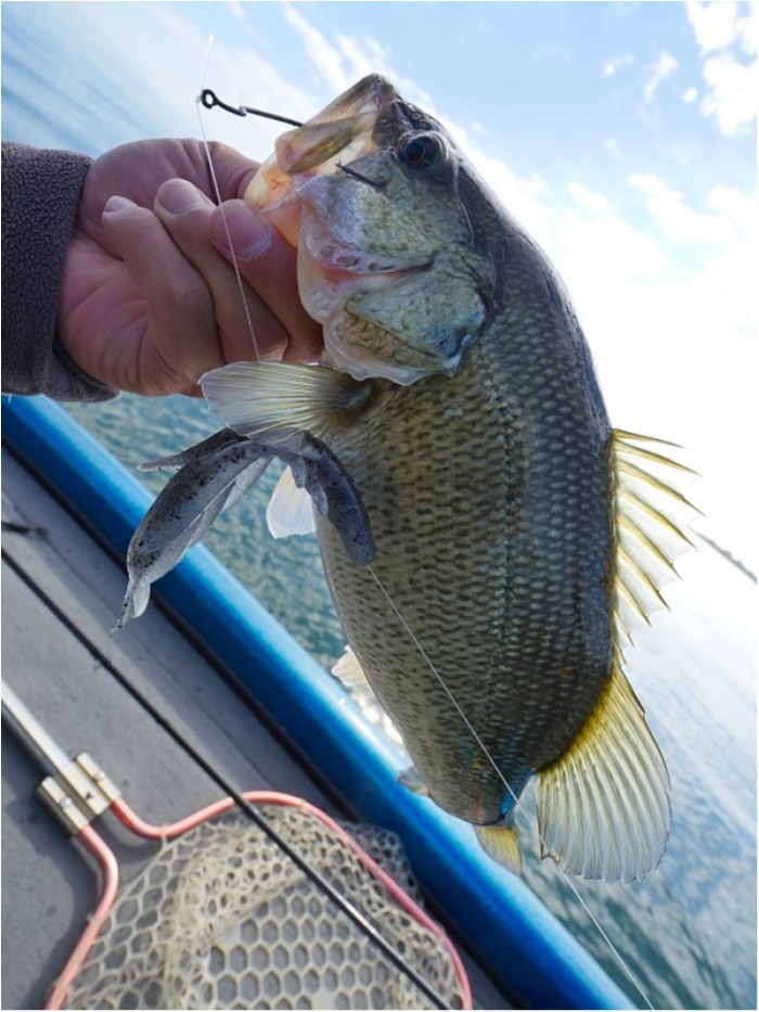 truth  ブログ写真 2018/11/03