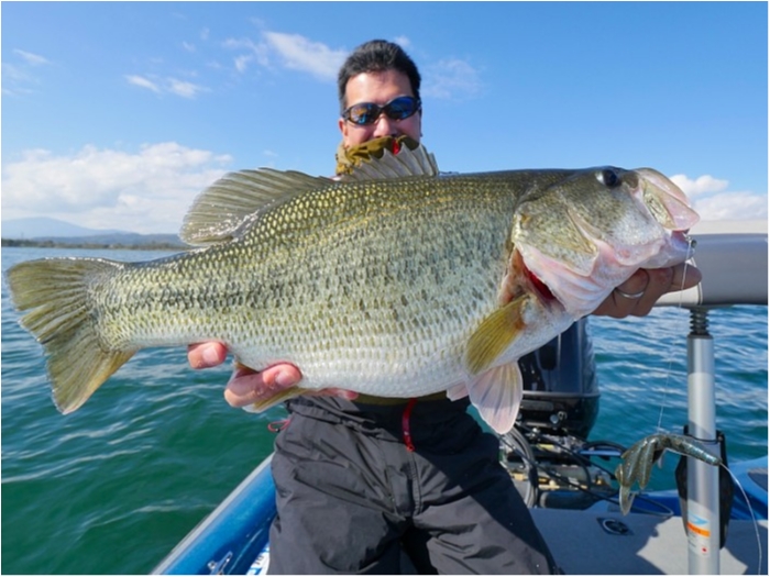 truth  ブログ写真 2018/11/03