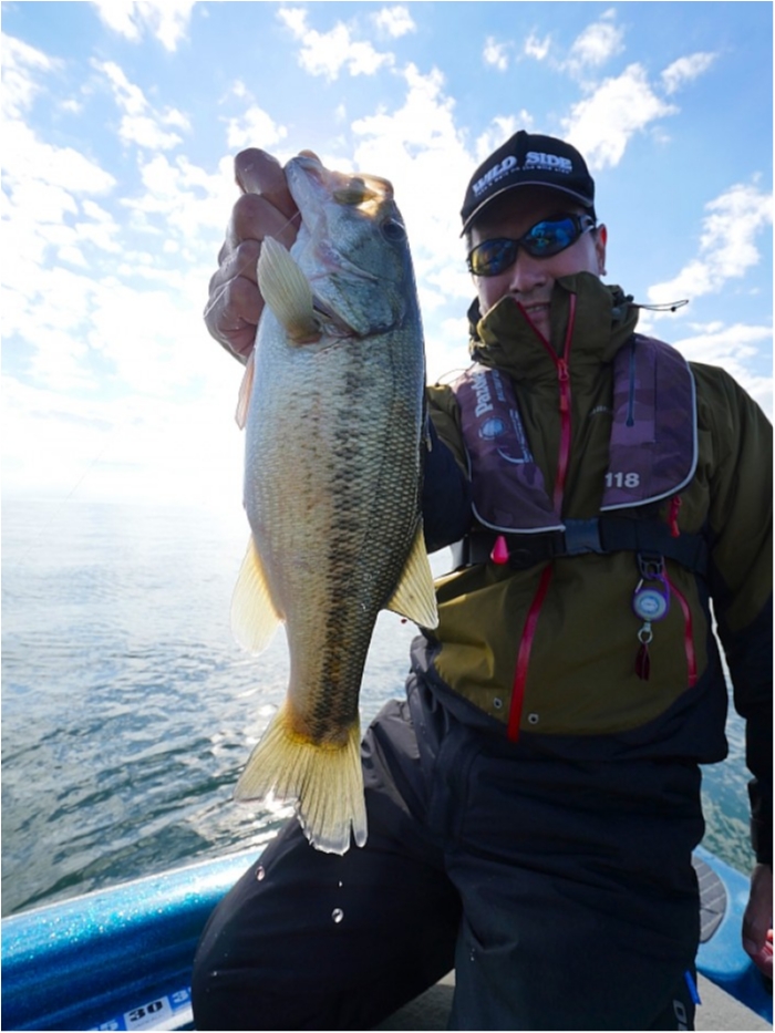 truth  ブログ写真 2018/11/03