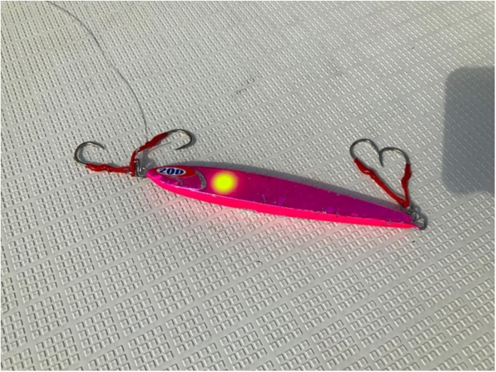 truth ブログ写真 2018/11/05