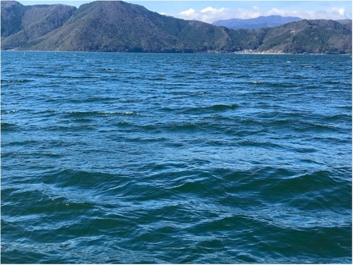 truth  ブログ写真 2018/11/07