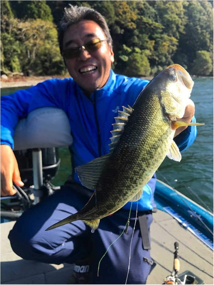 truth  ブログ写真 2018/11/07