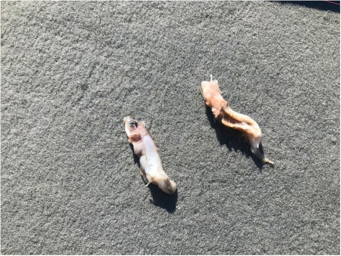 truth  ブログ写真 2018/11/07