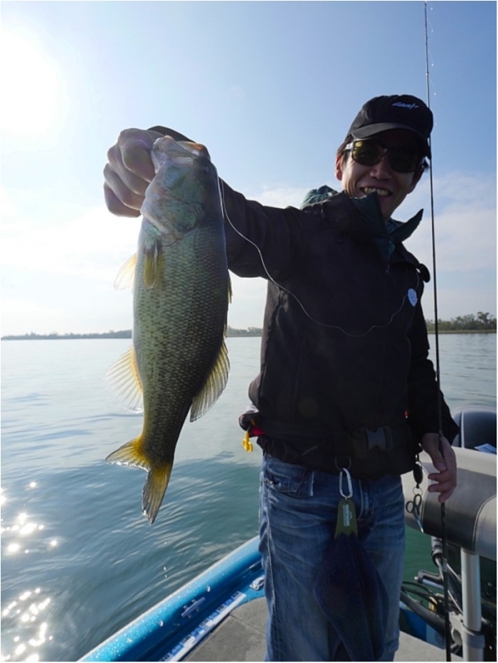 truth  ブログ写真 2018/11/08