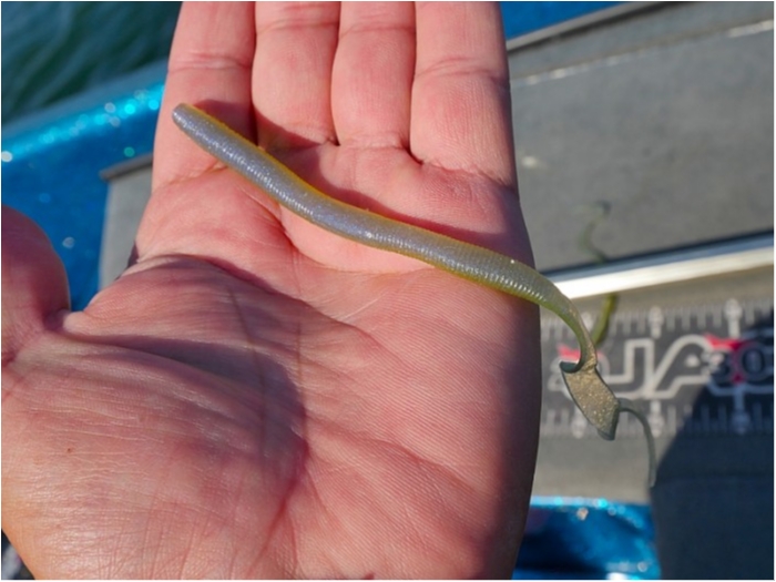 truth  ブログ写真 2018/11/08