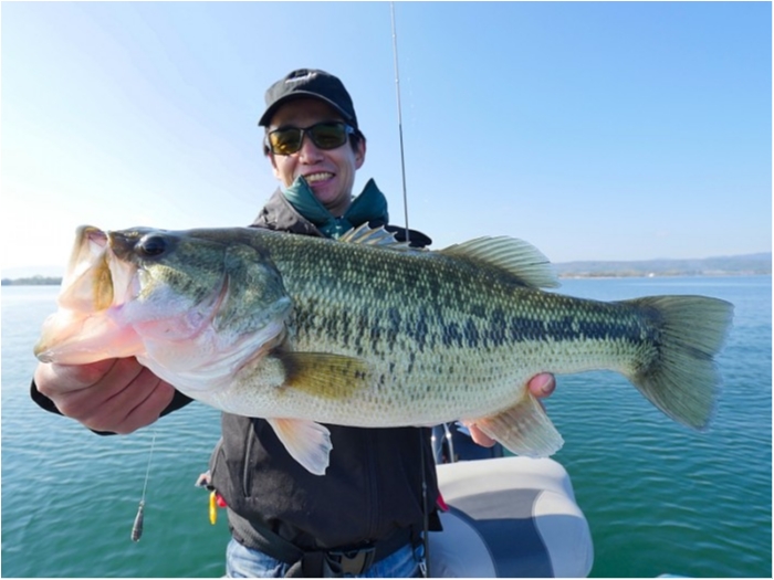 truth  ブログ写真 2018/11/08