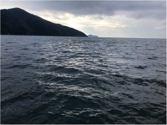 truth ブログ写真 2018/11/09