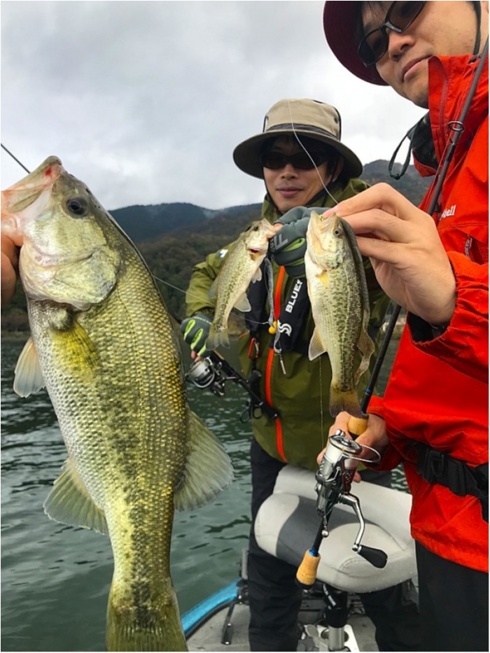 truth ブログ写真 2018/11/09