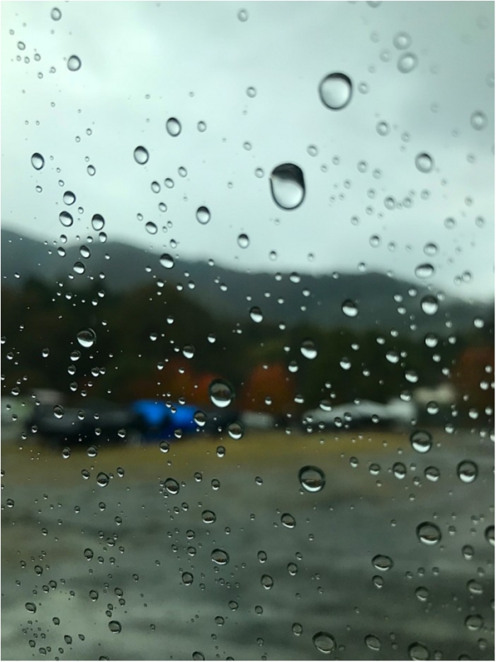 truth ブログ写真 2018/11/09