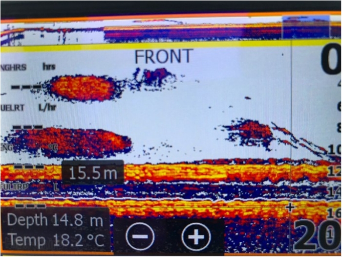 truth ブログ写真 2018/11/09