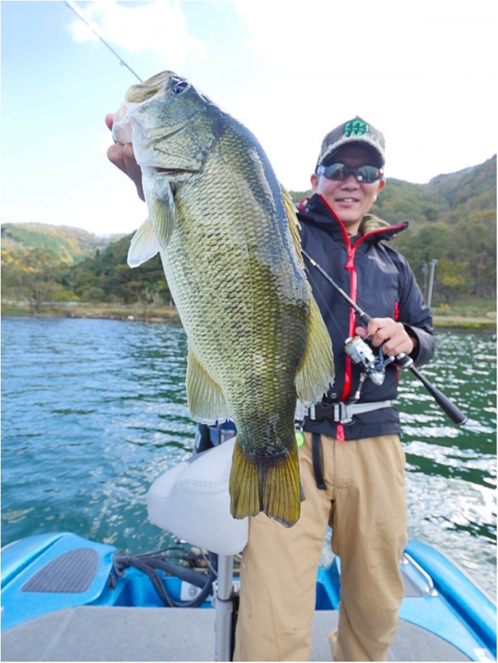 truth ブログ写真 2018/11/10