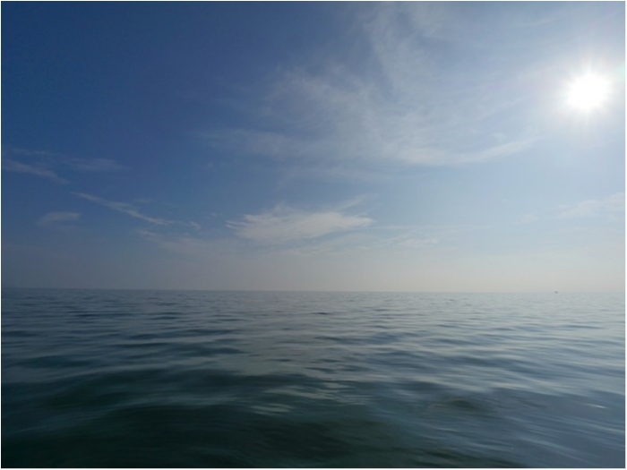 truth ブログ写真 2018/11/12