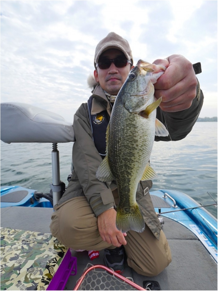 truth ブログ写真 2018/11/12