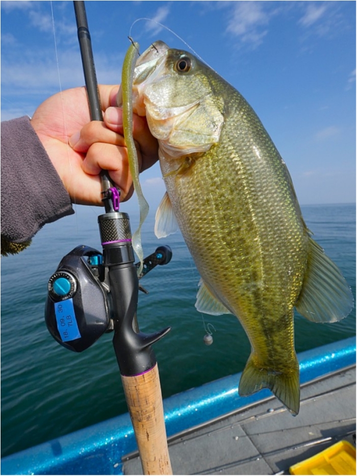 truth ブログ写真 2018/11/12