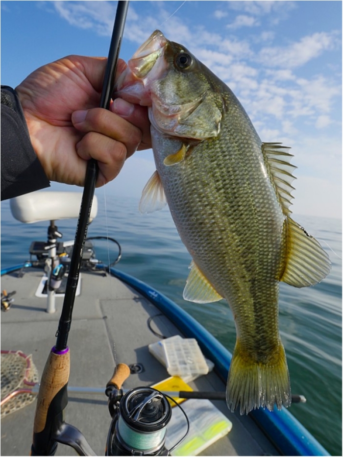 truth ブログ写真 2018/11/12