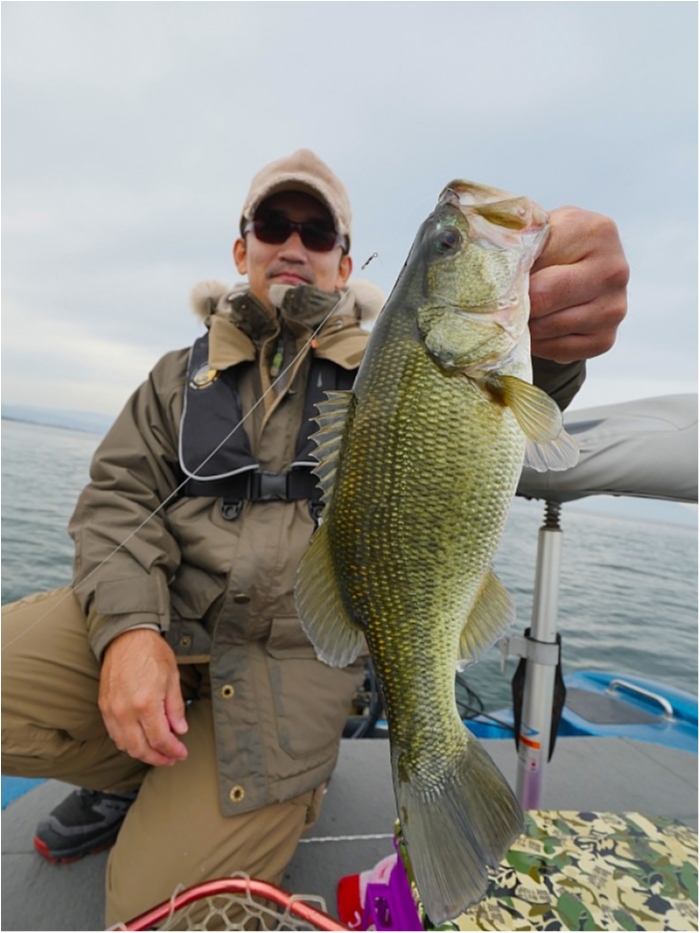 truth ブログ写真 2018/11/12