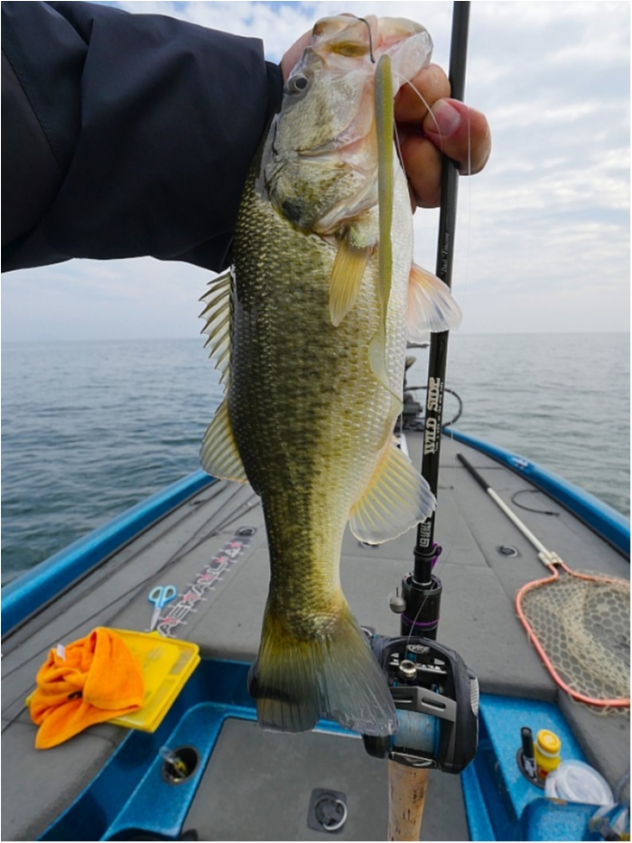 truth ブログ写真 2018/11/12