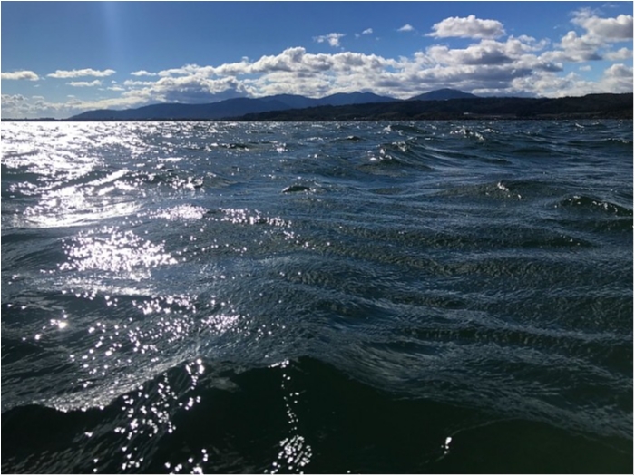 truth  ブログ写真 2018/11/15