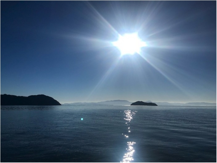 truth  ブログ写真 2018/11/15