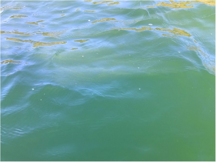 truth  ブログ写真 2018/11/15