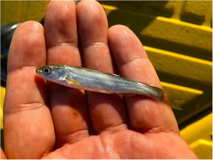 truth  ブログ写真 2018/11/15