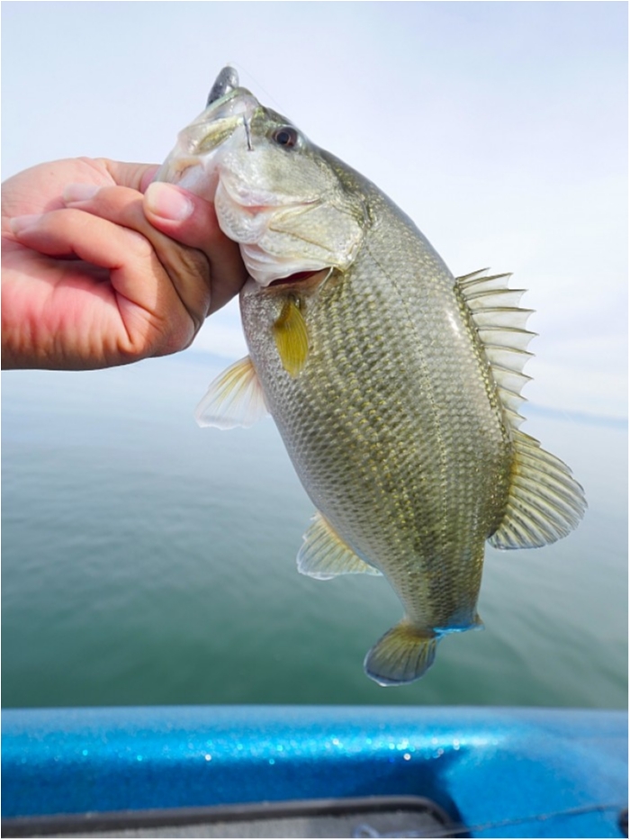 truth  ブログ写真 2018/11/16