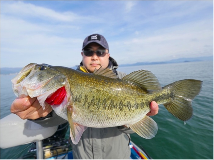 truth  ブログ写真 2018/11/16