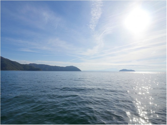 truth  ブログ写真 2018/11/16