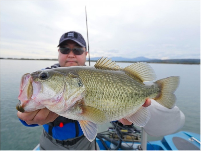 truth  ブログ写真 2018/11/16